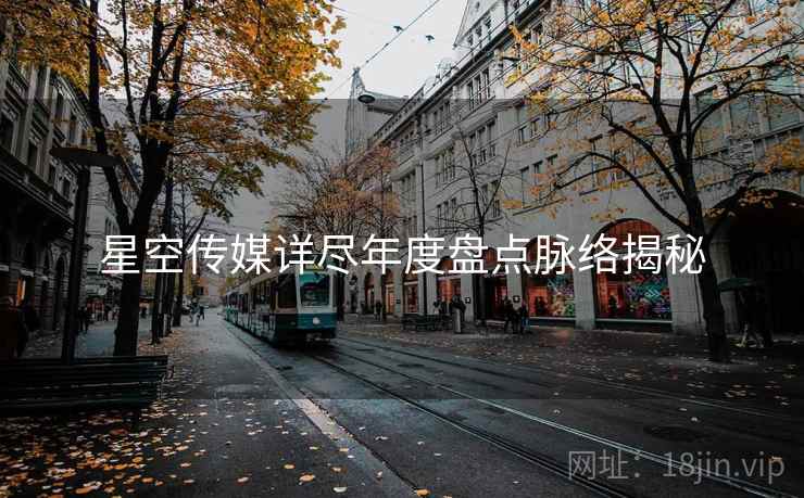 星空传媒详尽年度盘点脉络揭秘