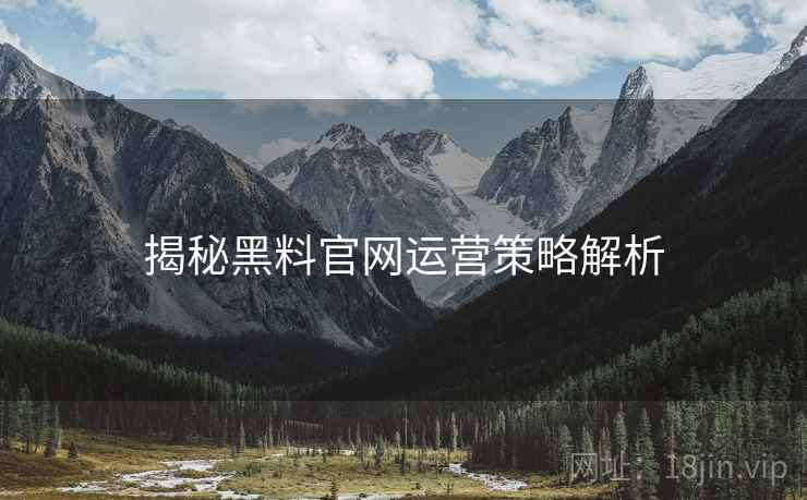 揭秘黑料官网运营策略解析