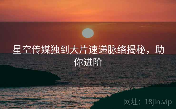 星空传媒独到大片速递脉络揭秘，助你进阶
