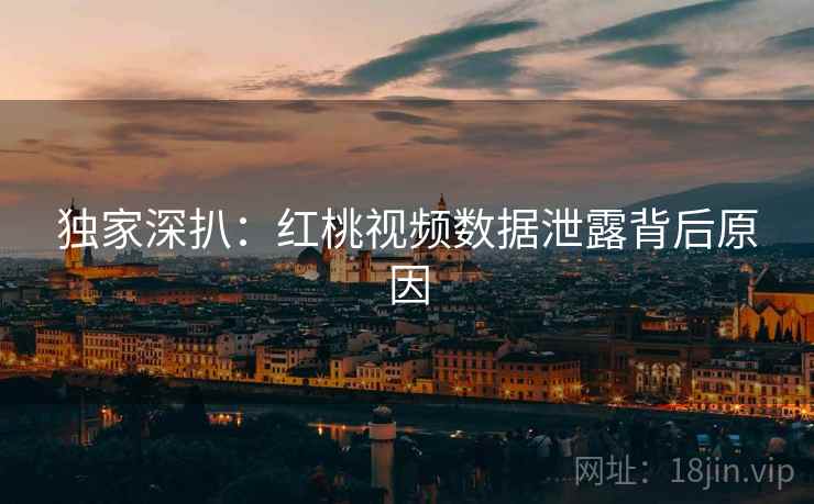 独家深扒：红桃视频数据泄露背后原因